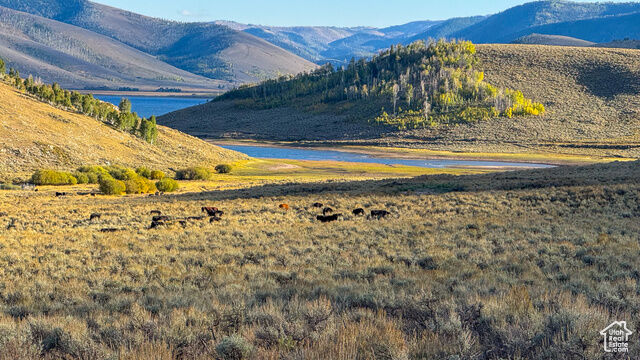 757 W Spring Creek Cir  Scofield UT 84526 photo