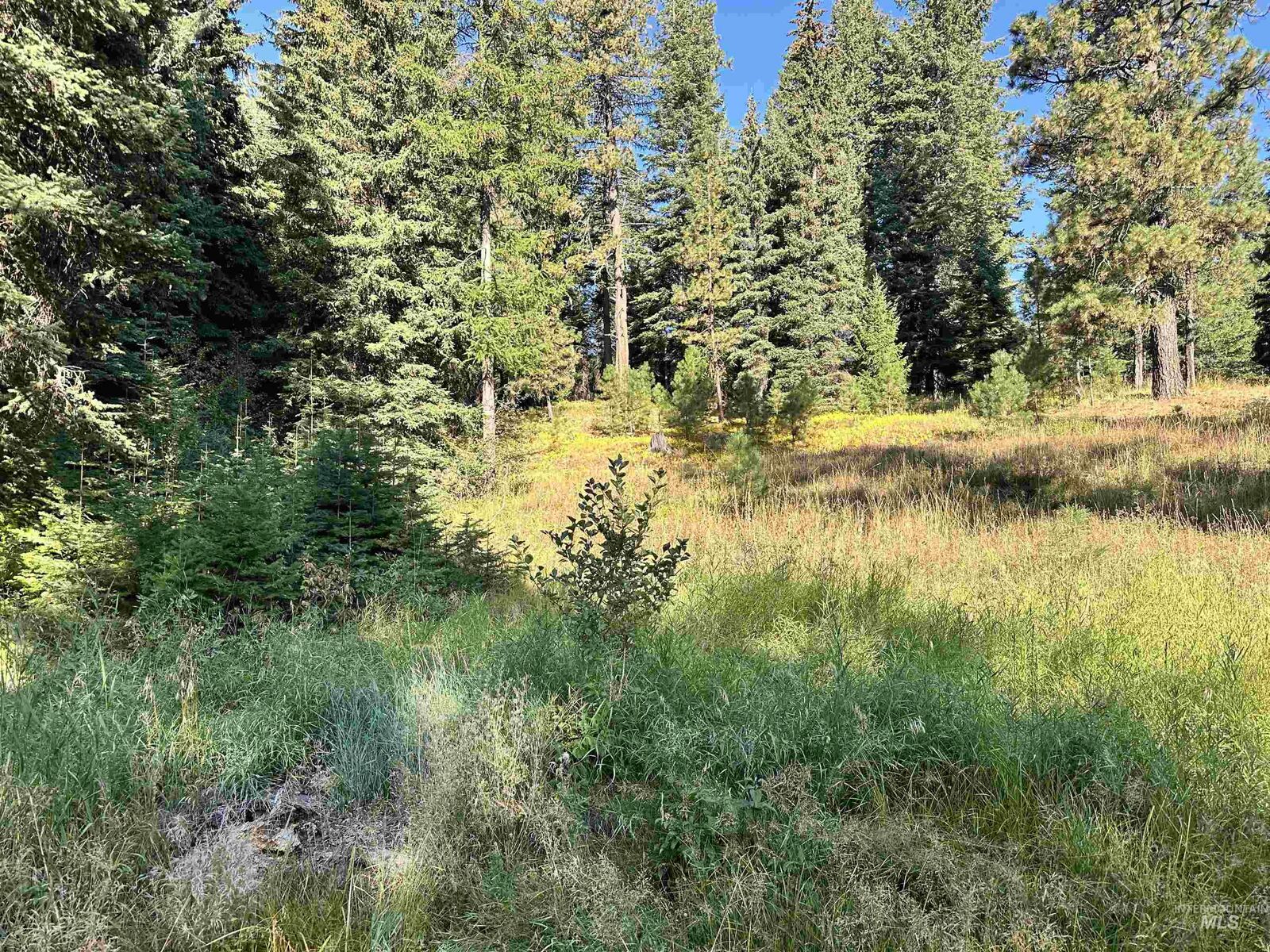 Property Photo: 2195 Davy ID 83615