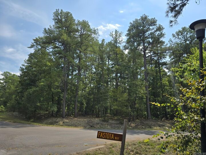 Property Photo:  00 Fastota Way  AR 71909 