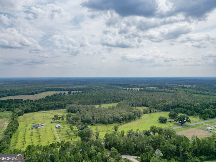Property Photo:  30 Acres Hodges Road  GA 31313