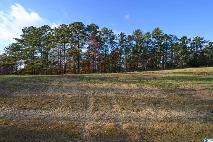 Property Photo: 6714 Mossy Oak Cove AL 35173