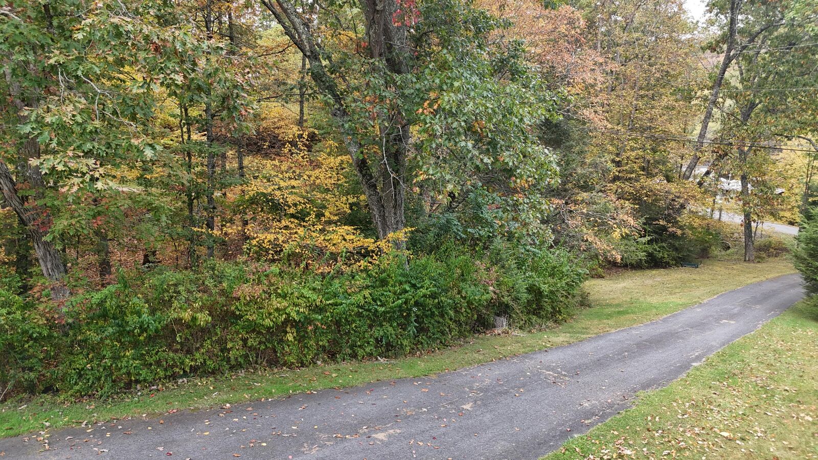Property Photo:  6210/ 6212 Big Draft Rd.  WV 24983 