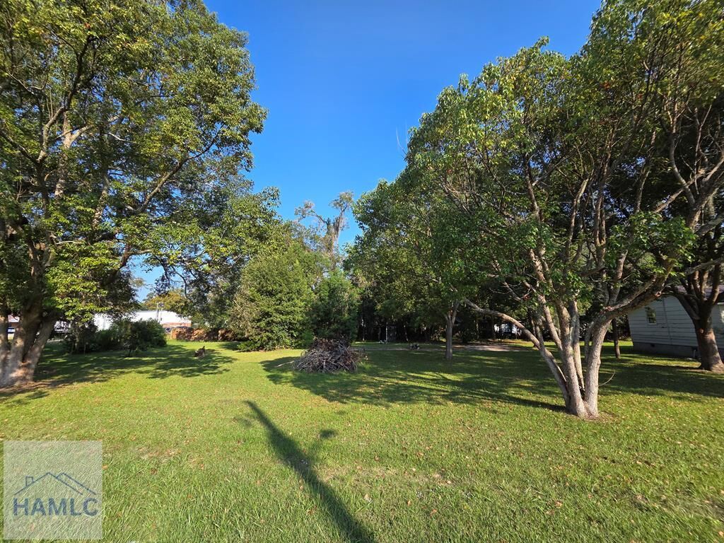 Property Photo:  N Railroad Street  GA 31316 