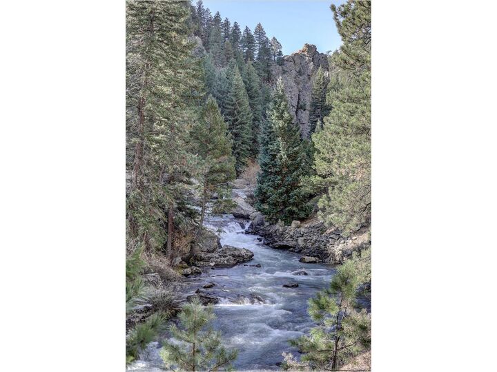 Property Photo:  770 Holmes Gulch Way  CO 80421 