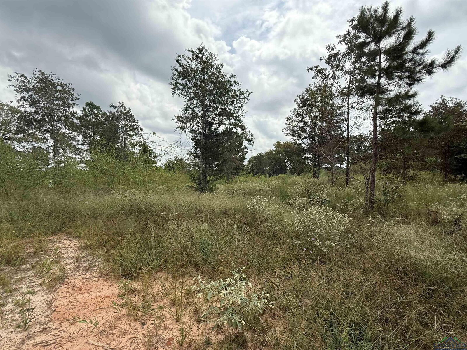 Property Photo:  8396 Cr 4201D  TX 75654-0000 