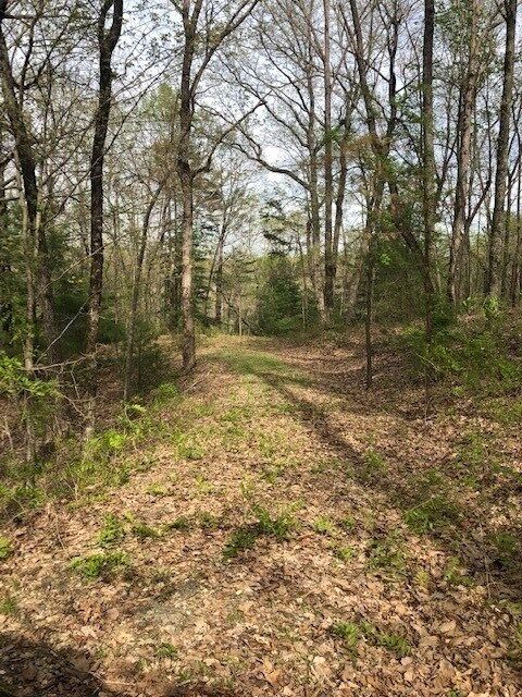 Property Photo: Lt 17B Lakeland Drive GA 30540