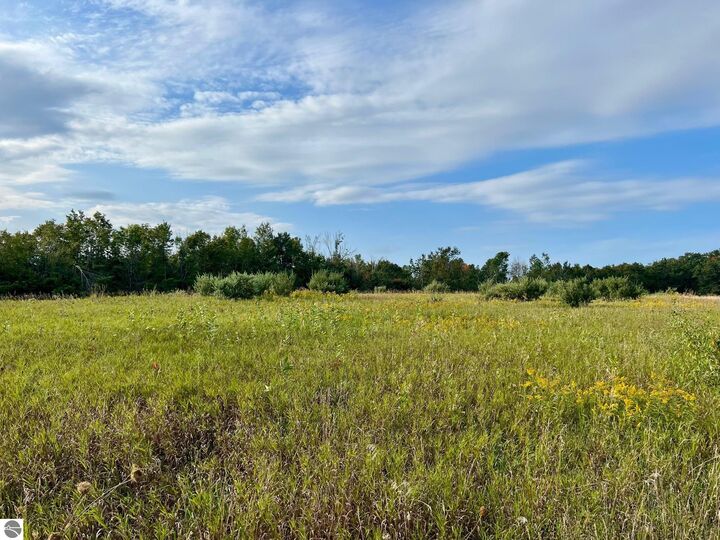 Property Photo: 00 Skinner Road MI 49729