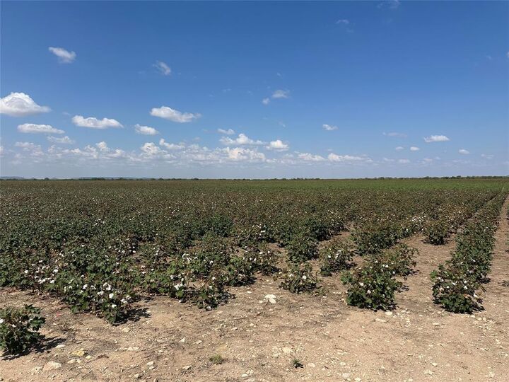 Property Photo: 952 Pr 2179 TX 79566