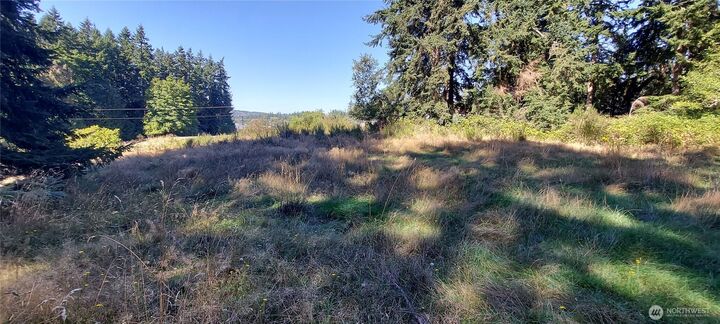 5881  Kramer Road  Langley WA 98260 photo