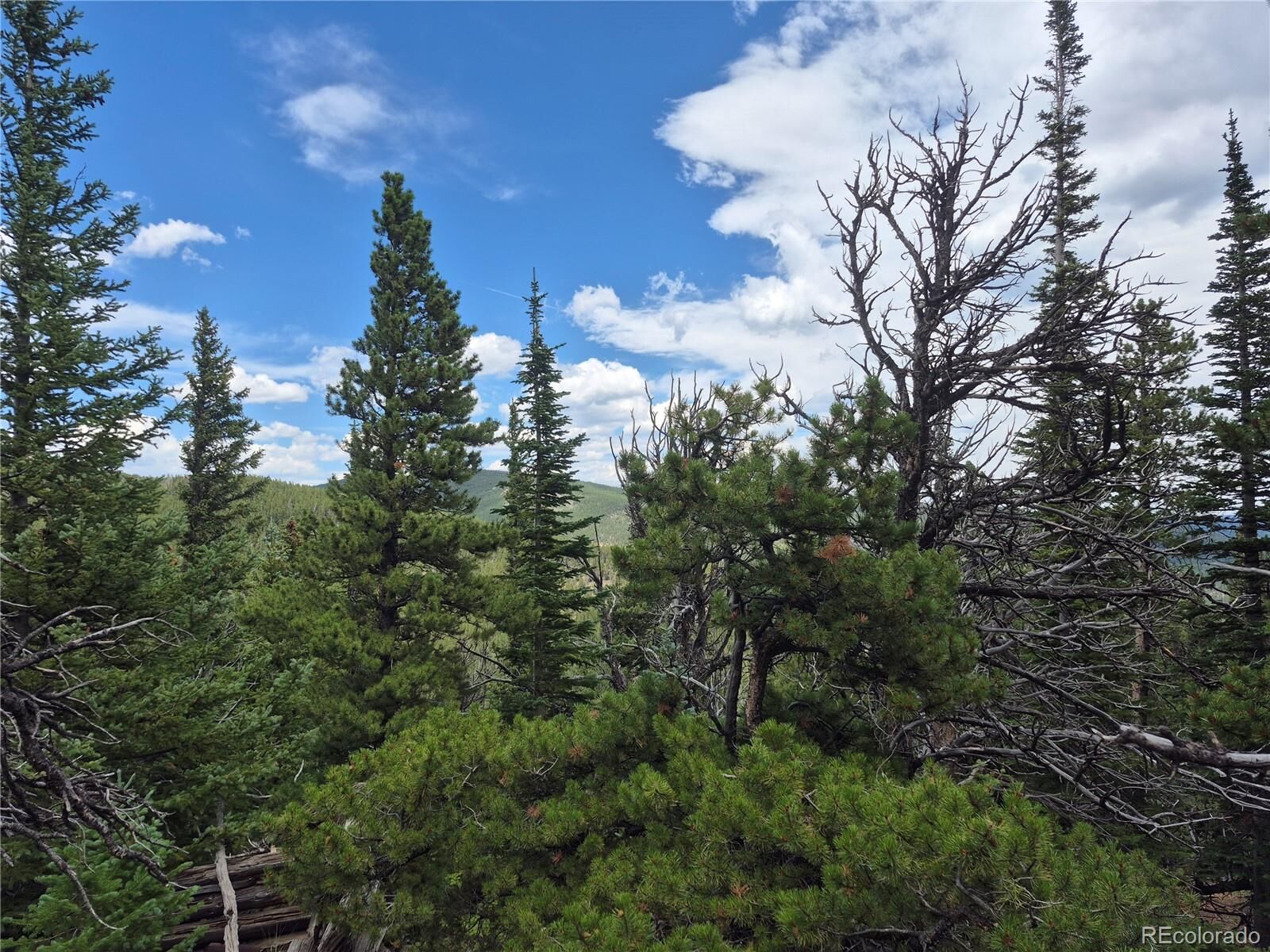 Property Photo: 1900 County Road 128J CO 80466