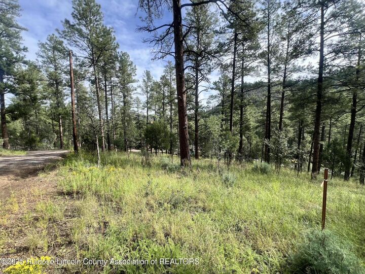 Property Photo:  106 Twin Mountain Road  NM 88345 