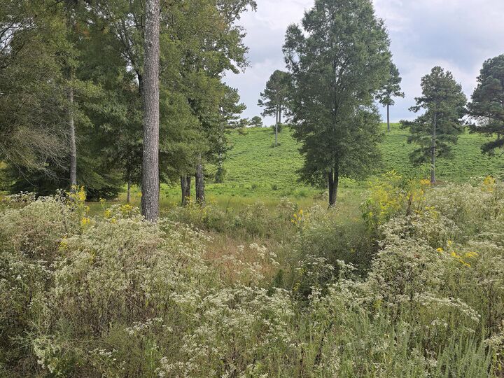 Property Photo:  1048 White Flats Road  TN 37332 