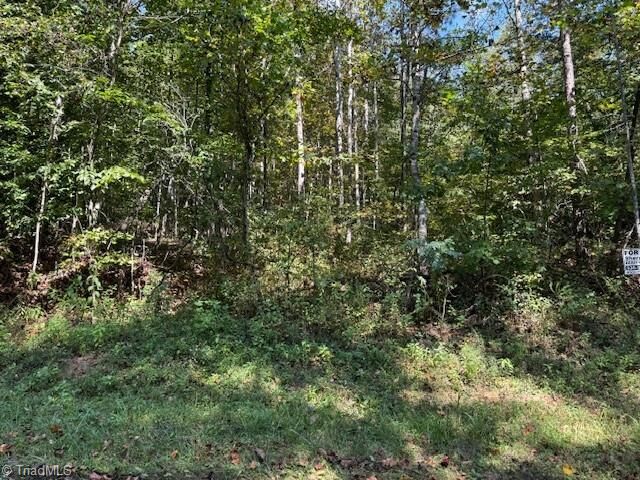 Property Photo:  6 Arlie Myers Store Road  NC 28649 