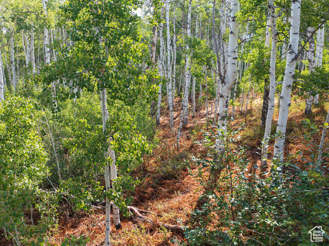 Property Photo:  2919 Green Briar Way 543  UT 84032 