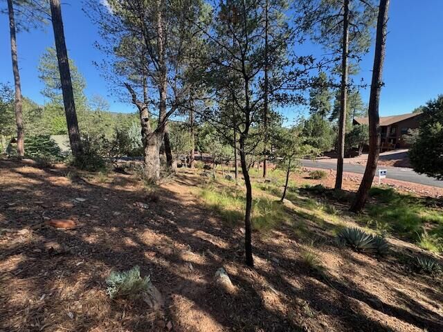 Property Photo:  Lot 33 W Sage Court  AZ 85544 