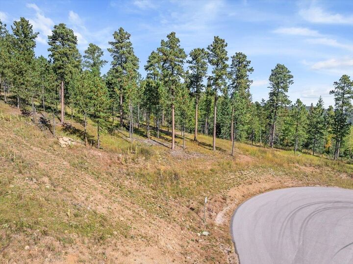 Property Photo: Lot 9 Meadow Wood Way SD 57754