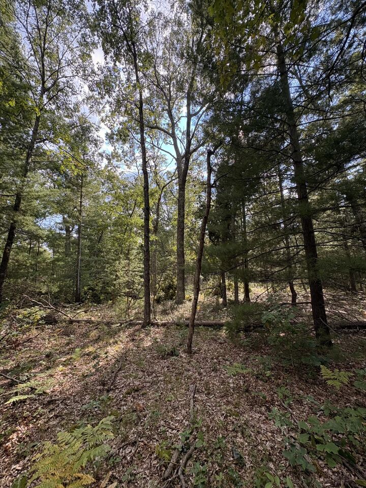 Property Photo: 0 S Shady Grove Drive MI 49304