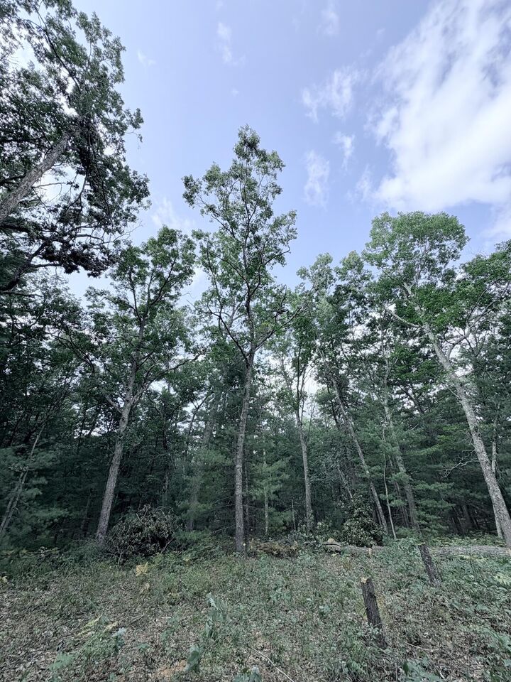 Property Photo:  0 S Shady Grove Drive  MI 49304 