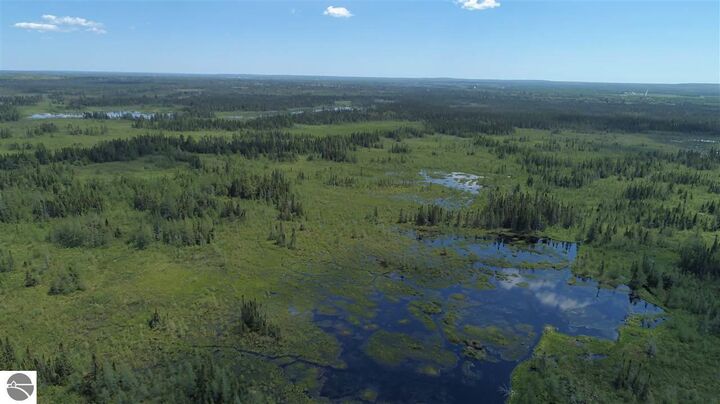 Property Photo:  320 Acres Aho Road  MI 49780 