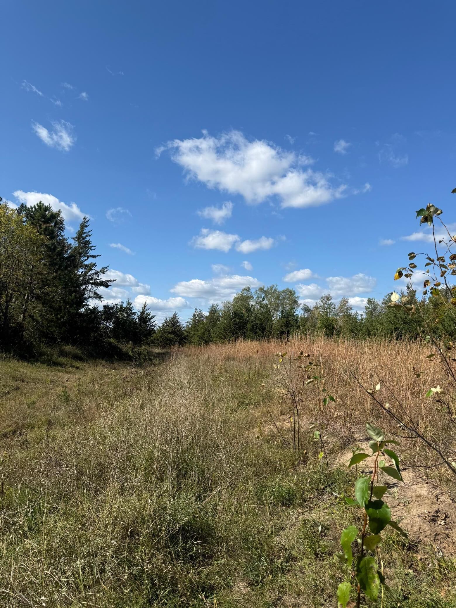Property Photo: Tbd Moonlight Lane SW MN 56601