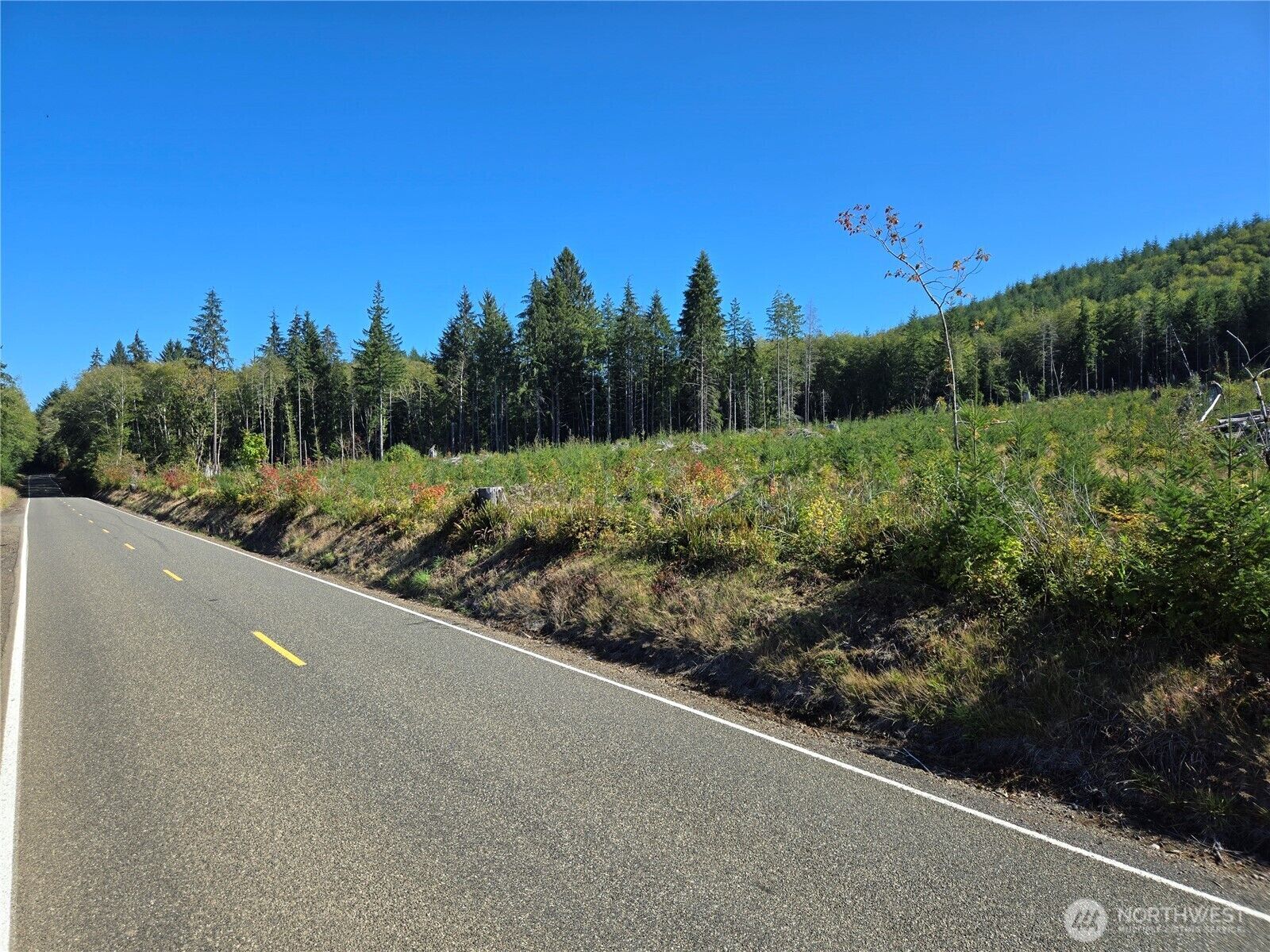 Property Photo:  0 Mp 15.5  Wishkah Road  WA 98520 