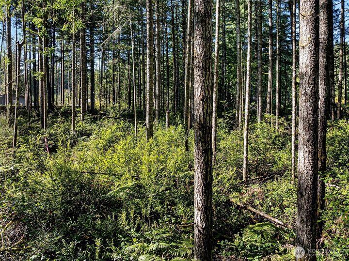 Property Photo: 20 Webb Road SW WA 98349