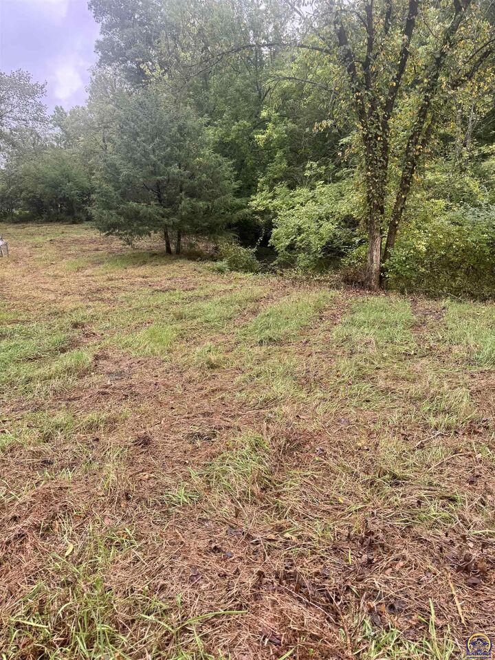 Property Photo: 3905 NW Button Rd KS 66618