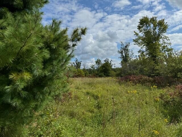 Parcel 4 Vfw Rd  Cheboygan MI 49721 photo