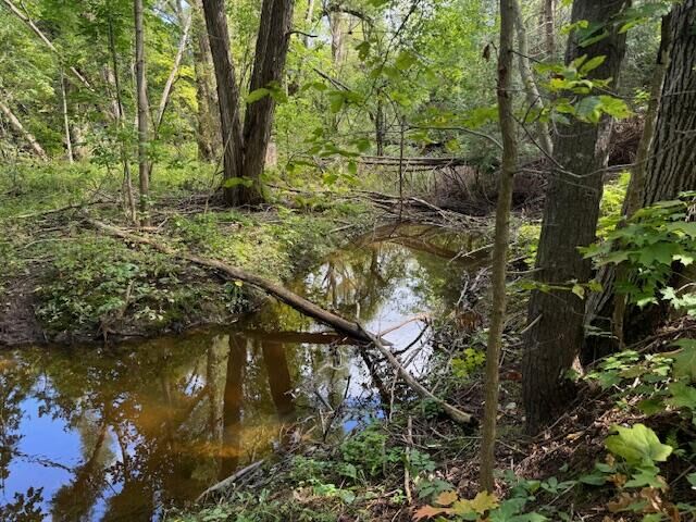 Property Photo:  Parcel 2 Vfw Rd  MI 49721 