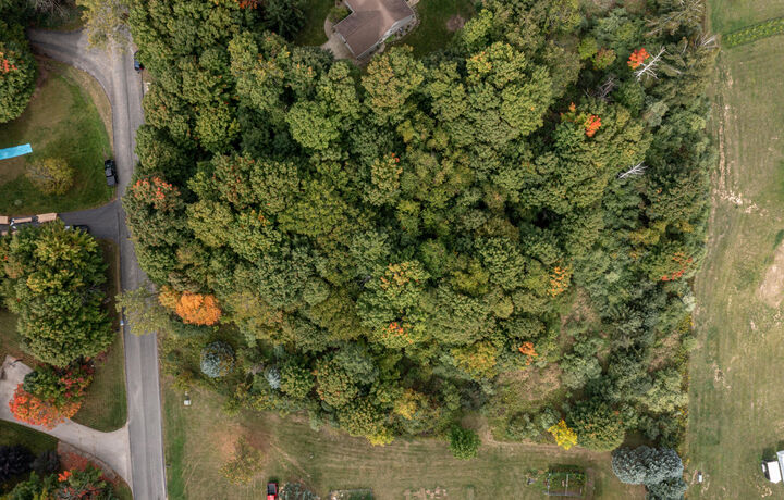 Property Photo: Lot #7 N Hill N Dale MI 49420