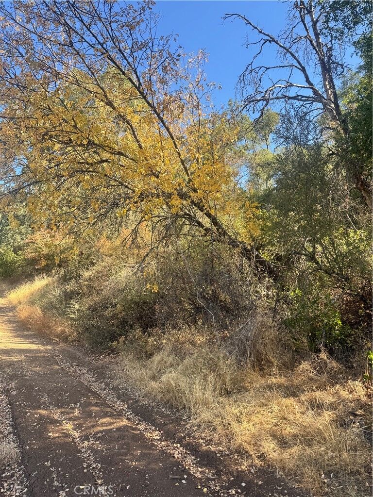 Property Photo: 6029 Vallejo Avenue CA 95422