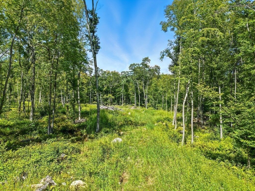 Property Photo:  25 Milk Street  MA 01504 