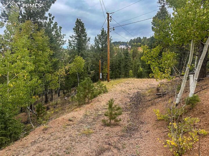 Property Photo:  599 Dandy Jim Drive  CO 80813 