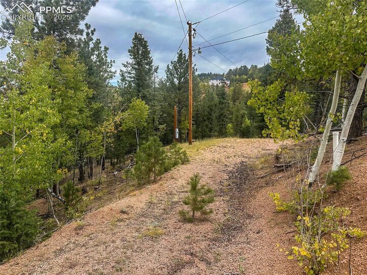 Property Photo:  599 Dandy Jim Drive  CO 80813 