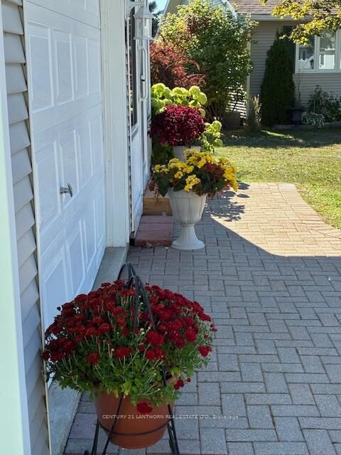 Property Photo: 10 Reynolds Place W ON K0K 3L0