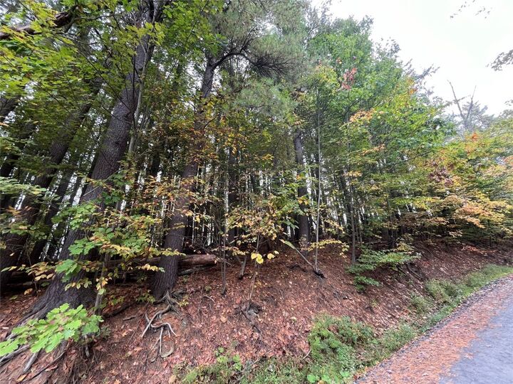 Property Photo: 0 Middle Road NY 13827