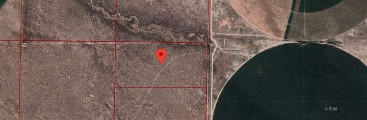 Property Photo: 20 Acres US 93 Highway S NV 89835