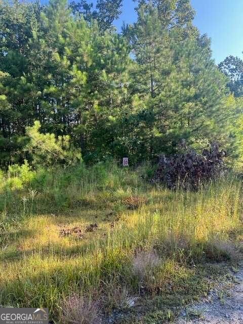 Property Photo: Lt 50 White Pine Ridge GA 30540