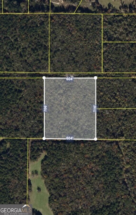 Property Photo:  0 Tomme Road  GA 30240