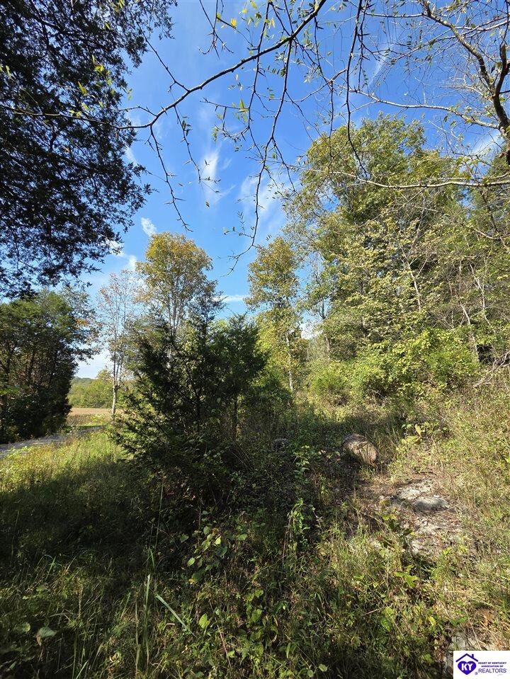 Property Photo: 2728 Constantine Road KY 42724