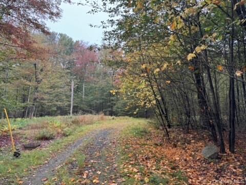 Property Photo: Little Ireland Road NY 12758
