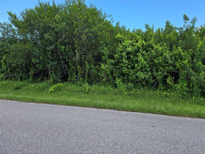Property Photo: 167 Lenoir Street NW FL 33948