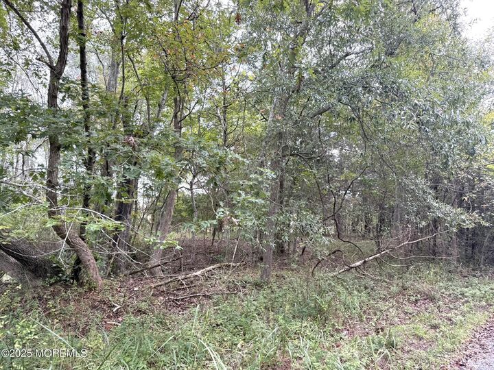 Property Photo: 11 Persimmon Drive NJ 08087