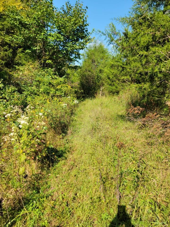 Property Photo: 15711 Pfanstiehl Road KY 41033
