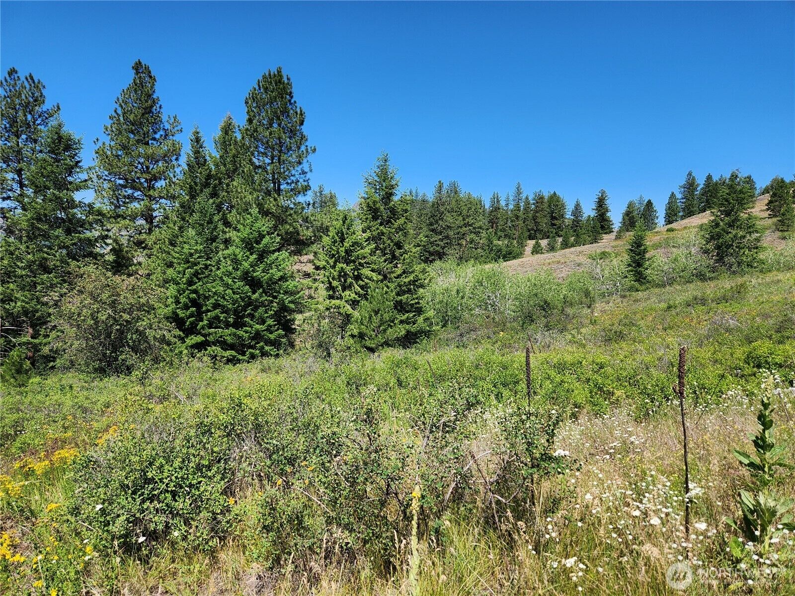 Property Photo:  18  Robin Road  WA 99166 