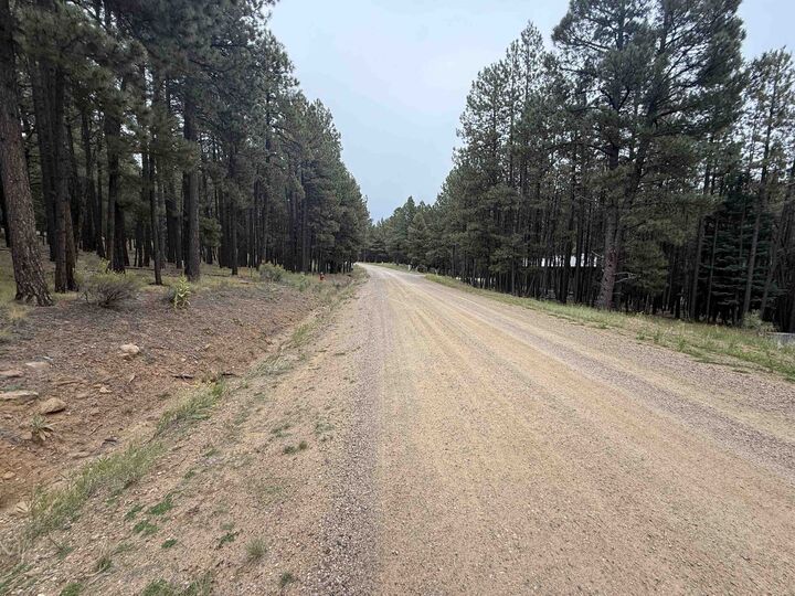 Property Photo:  Lot 115 San Juan Dr  NM 87710 