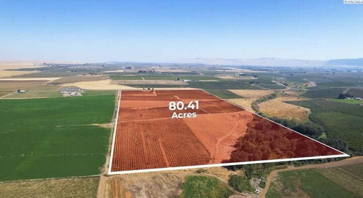 54402 N Hinzerling Rd.  Prosser WA 99350 photo