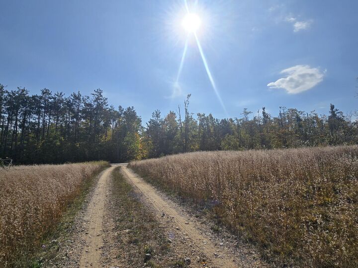 Finnegan Road  Johannesburg MI 49751 photo