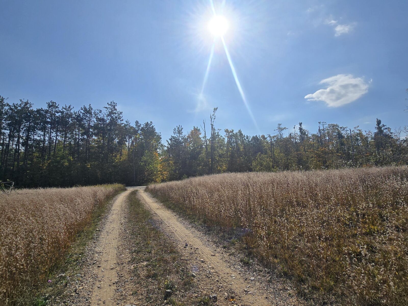 Property Photo: Finnegan Road MI 49751