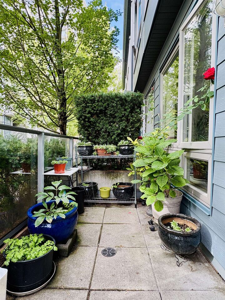 4886 Eldorado Mews — photo 1